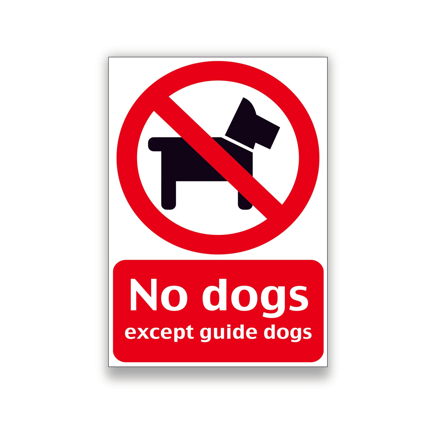 No Dogs Warning Sign