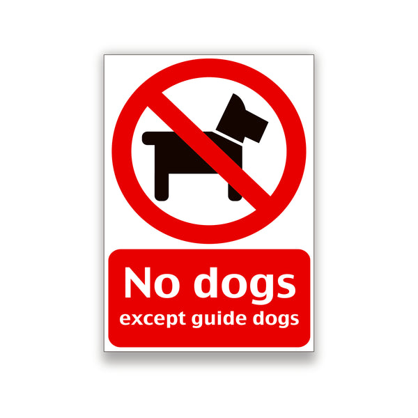 No Dogs Warning Sign – Printsuperstar (The Print Shop)